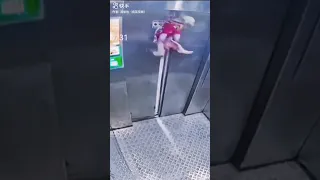 Dog get stock in the elevator #fails #crash