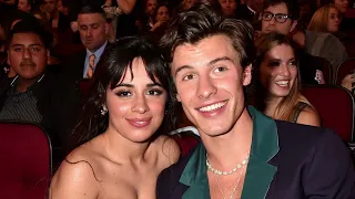 Shawn mendes and camila cabello ( dated )