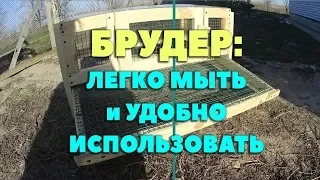 Брудеры для цыплят: легко мыть и удобно использовать