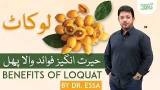 Loquat Fruit Benefits by Dr Essa Herbalist | Green Roots