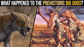 What Happened To The Prehistoric Big Dogs?