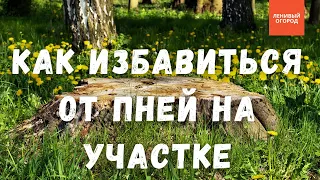 Пень на участке - как избавиться | Удаление пней без корчевания: способ лучше, чем пенёк и селитра