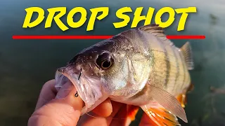 Монтажът "Drop shot" и приложението му в риболова на костур