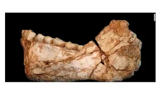 Modern fossil discovery rewrites human history