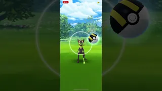 GETTING LUCKY WITH ZYGARDE! -POKÉMON GO