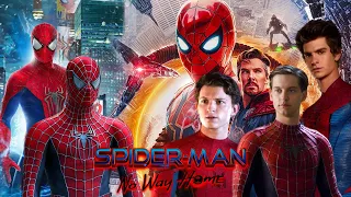 Spider-Man: No Way Home (2021) Movie Explained/Summarized in Hindi/Urdu | हिन्दी/اردو |