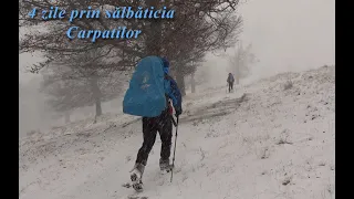 Pe poteci, spre inima ta! Ep 66: 4 zile prin Salbaticia din Carpati