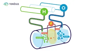 Teréga - Produire de l’hydrogène par électrolyse de l’eau, comment ça marche ?