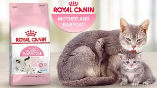 Сухой корм Royal Canin Mother and Babycat