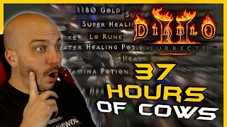 An Obscene 37 hours of Running Cows, Was it Worth it? - Diablo 2 Resurrected