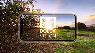 iPhone 13 - Ultimate Video Test! - Dolby Vision | HDR