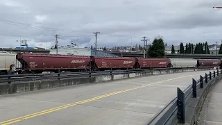 (Northbound) BNSF Grain Train passes through 21ST Street and stops.