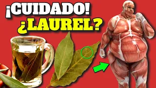 ¡CUIDADO! NO tires LA HOJA DE LAUREL de tus COMIDAS