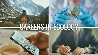 The 4 Types of Careers in Ecology // Careers in Biology and Environmental Science