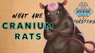 What are Cranium Rats? Adventure's Guide to Monsters