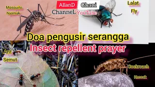 Ruqyah prayer to ward off insect repellents such as mosquitoes, ants, flies and the like