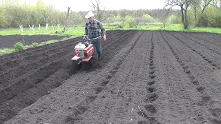 Мотоблок и лом ,гаранты урожая. Отчёт за 21 год. Часть 1.