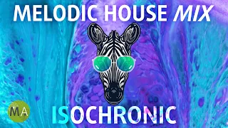 Peak Focus Melodic House Mix with Beta Wave Isochronic Tones