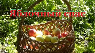 С Яблочным Спасом🍎🍎🍎 С Преображением Господним! Музыкальная открытка.