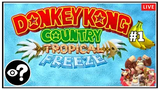 Let's Play DONKEY KONG COUNTRY: TROPICAL FREEZE? | Mystery Streams