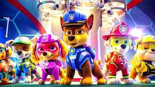 The PAW Patrol's new cars and gears!