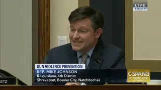 Rep. Johnson questions expert witness during gun violence hearing.