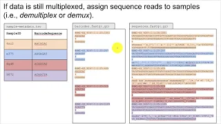 Microbiome Analysis Methods (part 1)