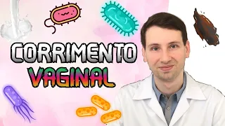 ENTENDA TUDO : CORRIMENTO VAGINAL , o que é , tipos, tratamento