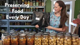 Preserving Food Every Day ~ #everybitcountschallenge