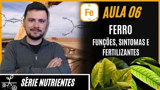 SÉRIE NUTRIENTES: FERRO funções, sintomas de deficiência e fertilizantes para correção