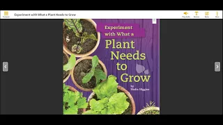 Experiment with What a Plant Needs to Grow by Nadia Higgins