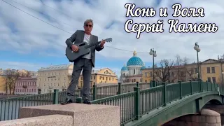 Конь и воля