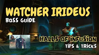 WATCHER IRIDEUS Boss Guide - Halls of Infusion - Dragonflight Season 2 Mythic Plus