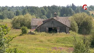 Калина красная: по следам Шукшина