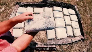 DIY Stepping Stones Made With Ziplock Bags