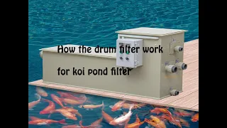 Koi fish pond rotary drum filter