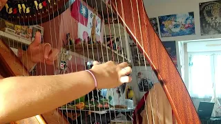 Evenstar (Octave Grave) - TLOTR - Celtic Harp Cover