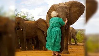 Многие слоны выстраивались в очередь, чтобы обнять эту женщину, но почему...
