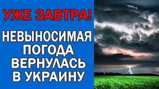 ПОГОДА НА 29 ИЮЛЯ : ПОГОДА НА ЗАВТРА