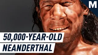 Here’s What the Reconstructed Face of A 50-000-Year-Old Neanderthal Looks Like | Mashable