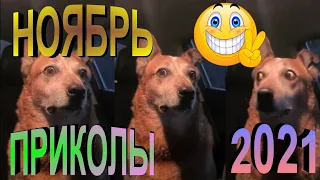 ПРИКОЛЫ 2021 САМЫЕ НОВЫЕ!!!!СМОТРЕТЬ ПРИКОЛЫ 2021!!!#20