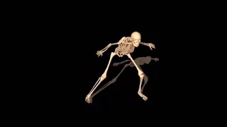 Skeleton dance (remastered)