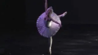 Ballet Fantastique - Carnival of the Animals: The Swan