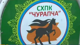 Дьокуускай куоракка Сайсары бааһынай рыногар "Идэһэ" дьаарбанка ыытылынна