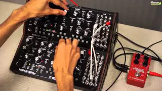 No talk, just sound - Moog Mother 32 (PWM Madness)