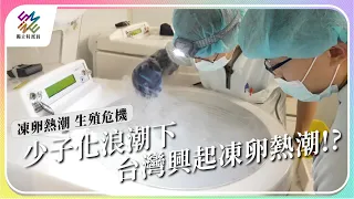 少子化浪潮下，台灣興起凍卵熱潮！｜凍卵熱潮 生殖危機｜公視 #獨立特派員 第811集 20230726