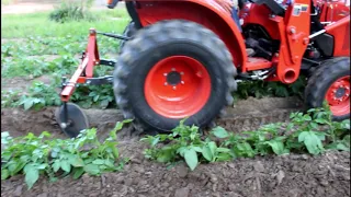 Laying Potatoes By with Disk Hiller ~~ Kubota L2501
