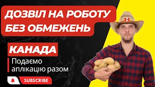 Як зробити новий дозвіл на роботу або забрати обмеження. Крок за кроком