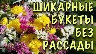 БЕЗ РАССАДЫ! ЛУЧШИЕ ОДНОЛЕТНИКИ для СРЕЗКИ! Ухода НЕ ТРЕБУЮТ, цветут ДО ЗАМОРОЗКОВ!