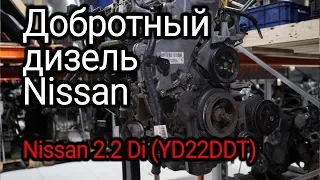 Много ли недостатков у дизеля Nissan 2.2 Di (YD22DDT)?